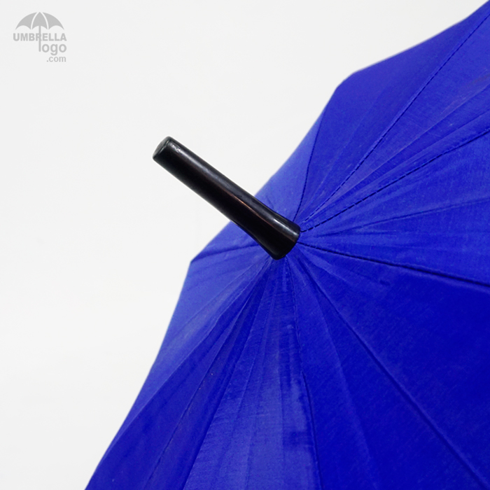 ปลายร่มสีน้ำเงิน