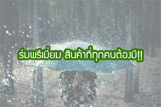 ร่มพรีเมี่ยม